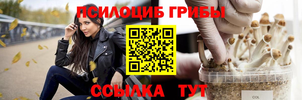 Псилоцибиновые грибы MAGIC MUSHROOMS  Вход с VPN  Волгоград 
